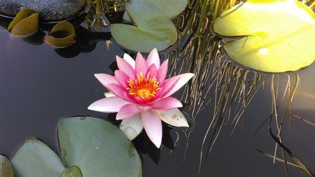 IMAG0035.jpg