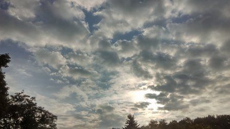 IMAG0105.jpg