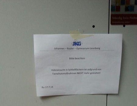 picdump372_021.jpg