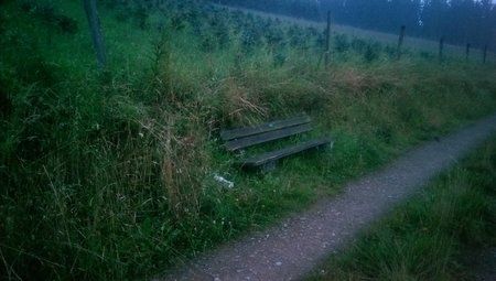 ISO_1600.jpg