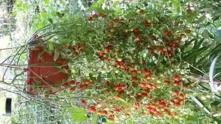20140722_202320.jpg