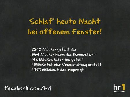 Mücken.jpg