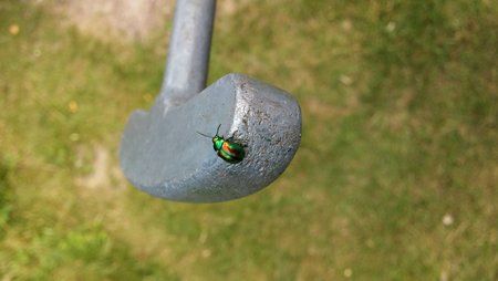 20140706_160055.jpg