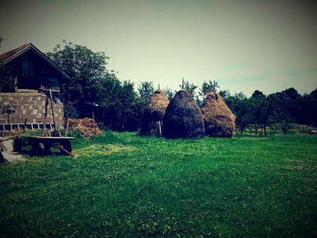20140716_130520.jpg