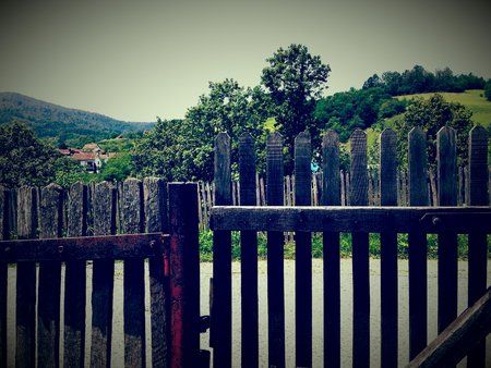 20140716_131717.jpg