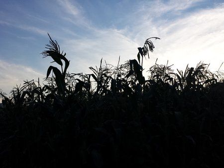 20140718_194031.jpg