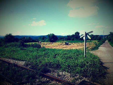 20140719_170252.jpg