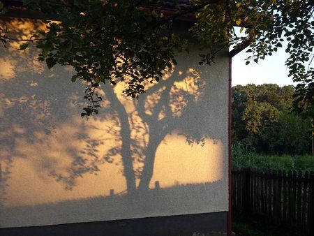 20140719_194127.jpg