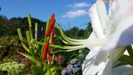 20140723_180405.jpg