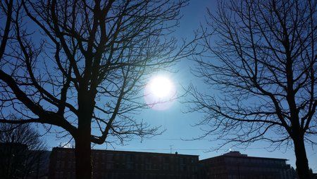20140115_120617.jpg