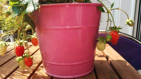 20140727_140842_Android.jpg