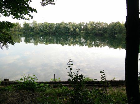 IMG_20140802_082145.jpg