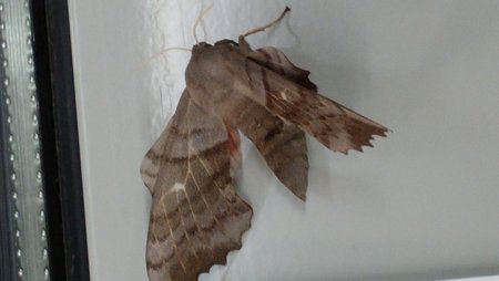 2014-06-10 00.23.31.jpg