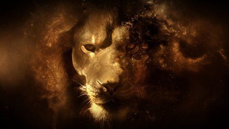 lion_hd_wallpaper.jpg