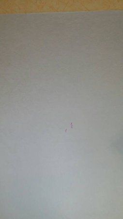 1407481852015.jpg