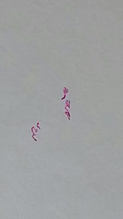 1407481864843.jpg