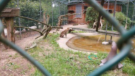IMG_20140808_134445.jpg