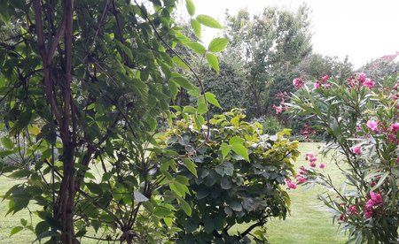20140810_150438-1.jpg