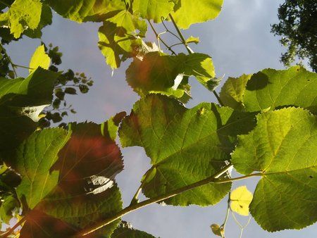 20140615_190949.jpg