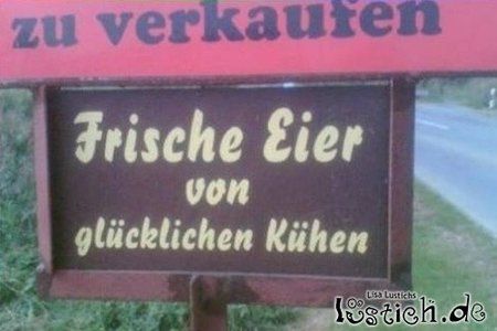 23069-frische-kuheier-zu-verkaufen.jpg