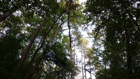 Sissi_Sachsen_Z2_2014-08-11 19.38.05.jpg