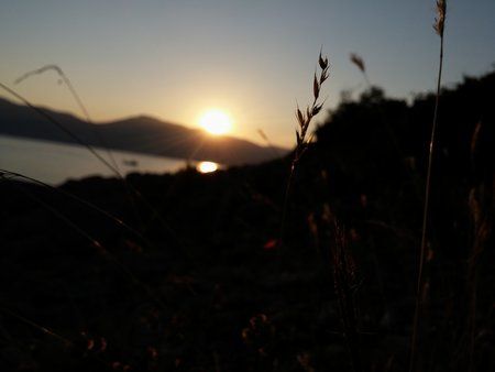 20140812_193953.jpg