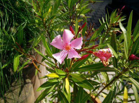 2014-08-21 11.33.45.jpg