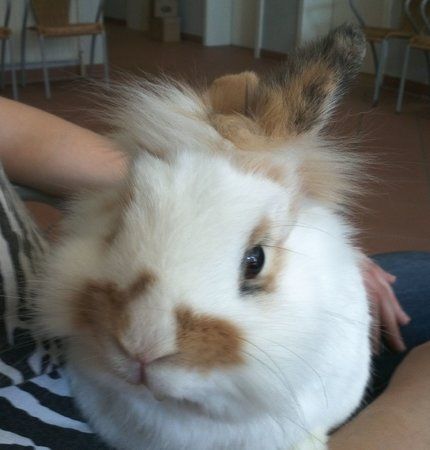 IMG045.jpg