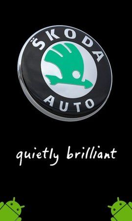 Skoda 1.jpg