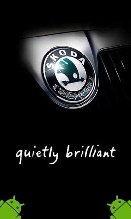 Skoda 3.jpg
