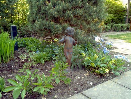 IMG_20110423_171032.jpg
