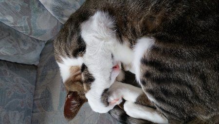 20140825_152227.jpg