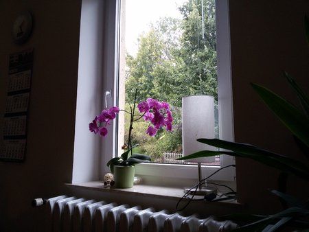 20140903_170921_neo_r.jpg