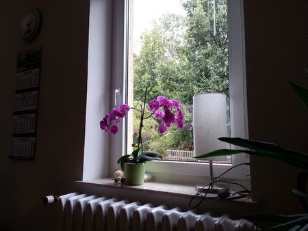 20140903_171122 S3-2_r.jpg