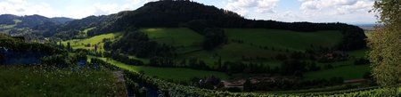 20140830_144637.jpg