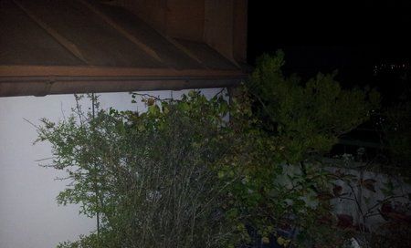 20140908_205633.jpg