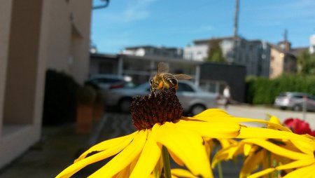 20140822_135417.jpg
