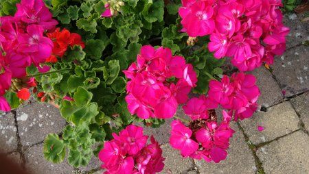 IMG_20140910_162819080.jpg