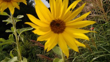 IMG_20140910_162832690.jpg