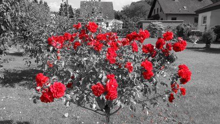 20140917_125106.jpg