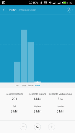 Schrittstatistik.png