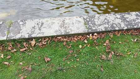 20140925_160518.jpg