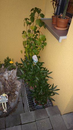 2014-09-25-5326.jpg
