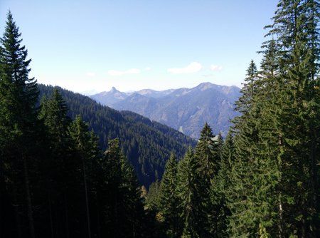 IMG_20140927_125956.jpg