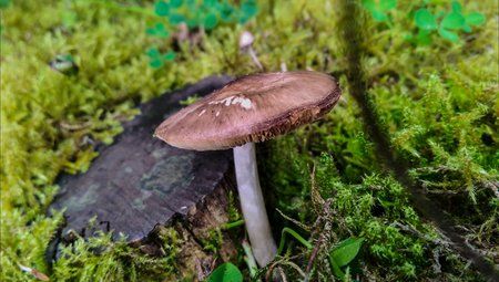 2014-09-29_14.47.13.jpg