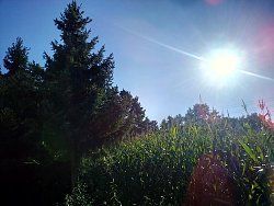 IMG_20140923_153033_1.jpg