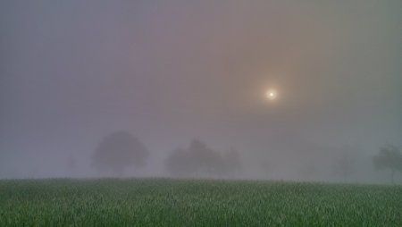 IMG_20141003_083539_HDR.jpg