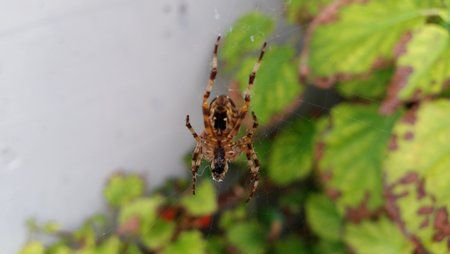 20141008_164059.jpg