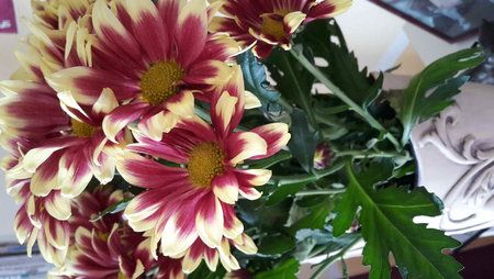 2014-10-10 13.15.07.jpg