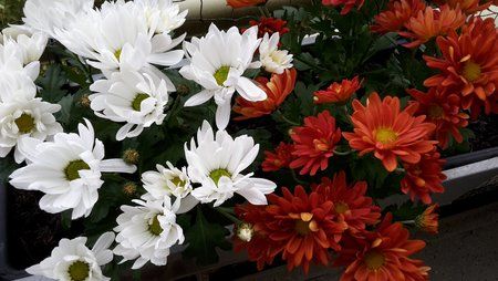 2014-10-09 17.28.26.jpg